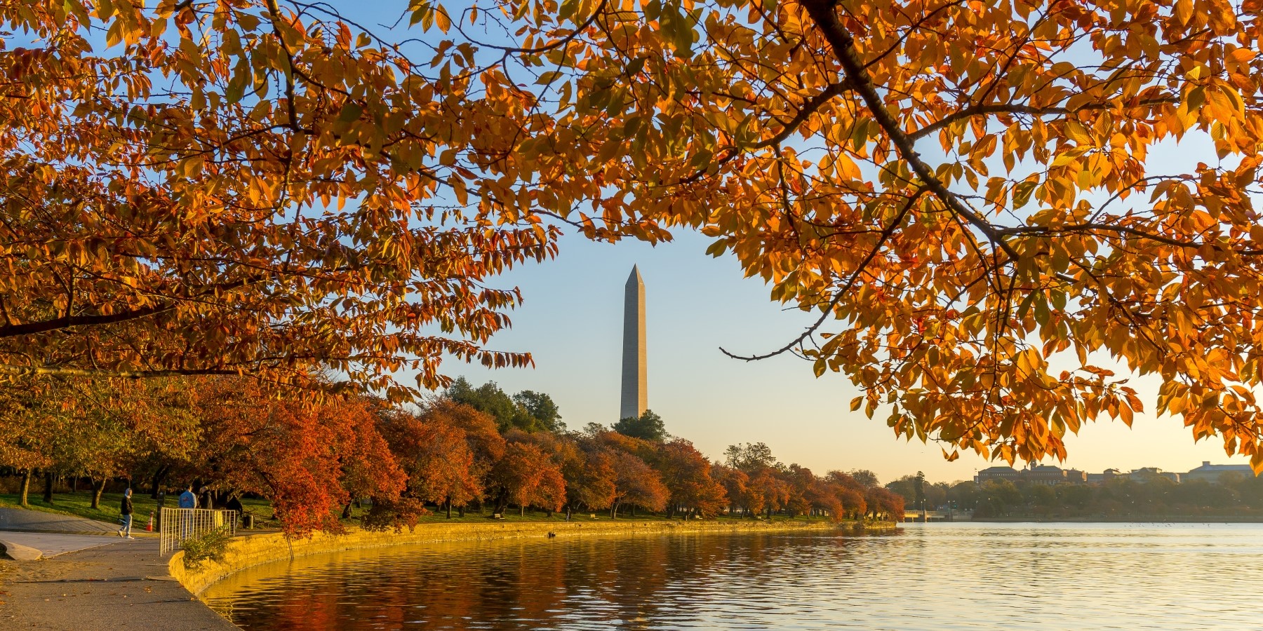 The Washington Monument in the fall, surrounded by trees with orange leaves