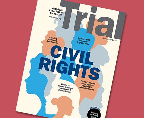 TRIAL Magazine  2024 September Civil Rights